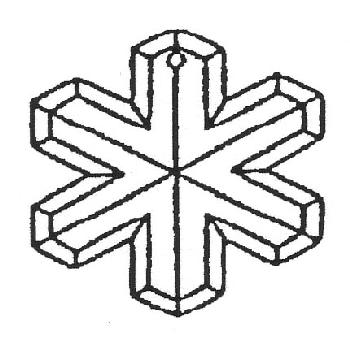 Schneeflocke / Flocon de neige Image